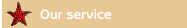 Our service